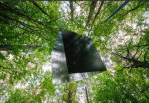 В честь авангардиста Малевича возведут «Супрематический лес» из 12 тысяч палок