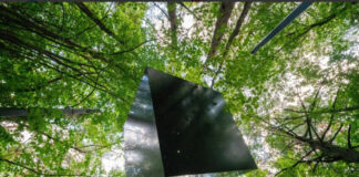 В честь авангардиста Малевича возведут «Супрематический лес» из 12 тысяч палок