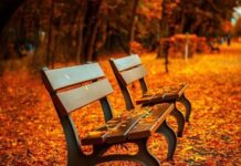 Синоптики предупредили о сложной погоде во вторник: лучше готовиться заранее