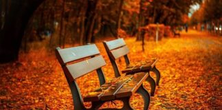 Синоптики предупредили о сложной погоде во вторник: лучше готовиться заранее