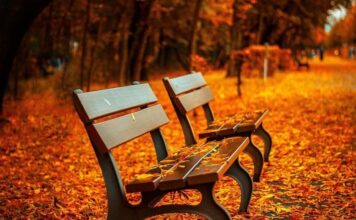 Синоптики предупредили о сложной погоде во вторник: лучше готовиться заранее