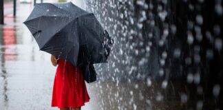 В пяти областях Украины завтра сильные дожди: кому не повезет с погодой