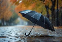 Завтра в Украине много осенних дождей: в каких областях будет мокро