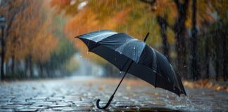 Завтра в Украине много осенних дождей: в каких областях будет мокро