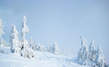 Один из регионов завалило снегом по колено: украинцев предупредили об опасности