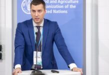 Виктор Смаль: карьера до руководителя лесных ресурсов