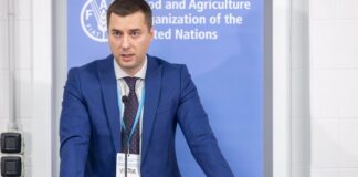 Виктор Смаль: карьера до руководителя лесных ресурсов