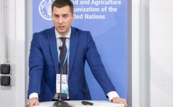 Виктор Смаль: карьера до руководителя лесных ресурсов