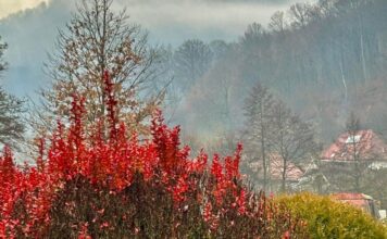 Стоит ли ждать снега и морозов: синоптик рассказала, какая погода ждет Украину в начале декабря