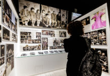 Ефремов и Волчек: два ствола одного дерева