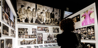 Ефремов и Волчек: два ствола одного дерева