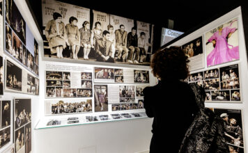 Ефремов и Волчек: два ствола одного дерева