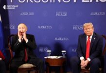 28 шагов к капитуляции: депутат Рады опубликовал «мирный» план Трампа