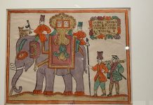 В Пушкинском музее открылась выставка экзотических животных