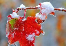 В Украине ударят двузначные морозы: когда ждать резкой смены погоды и где будет холоднее всего