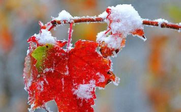 В Украине ударят двузначные морозы: когда ждать резкой смены погоды и где будет холоднее всего