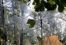 Тайная жизнь древнего шелка: в Пекина художница сохраняет традиции, работая с натуральным шелком