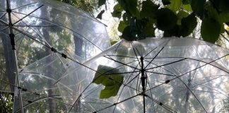 Тайная жизнь древнего шелка: в Пекина художница сохраняет традиции, работая с натуральным шелком