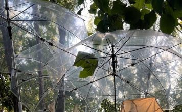 Тайная жизнь древнего шелка: в Пекина художница сохраняет традиции, работая с натуральным шелком