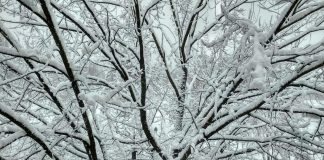 Арктический воздух не отступит: морозы до –20 окутают Украину надолго