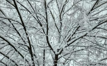 Арктический воздух не отступит: морозы до –20 окутают Украину надолго