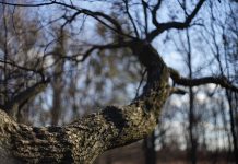 Зима сдается: синоптики рассказали, какой будет последняя неделя февраля