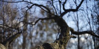 Зима сдается: синоптики рассказали, какой будет последняя неделя февраля