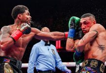 Шакур уверенно победил Теофимо и забрал титул в первом полусреднем весе