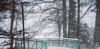 Метели, дожди, а местами до -20: украинцев ждет непростая погода на неделе