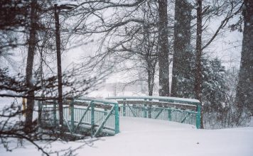 Метели, дожди, а местами до -20: украинцев ждет непростая погода на неделе