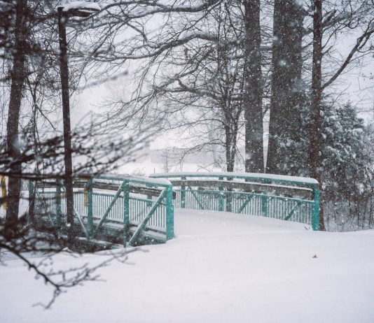 Метели, дожди, а местами до -20: украинцев ждет непростая погода на неделе