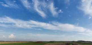 Весна с контрастами: синоптик рассказал о погоде до конца марта и сообщил, чего ждать в апреле и мае