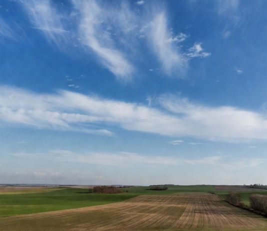 Весна с контрастами: синоптик рассказал о погоде до конца марта и сообщил, чего ждать в апреле и мае