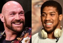 Фьюри и Джошуа согласовали проведение поединка