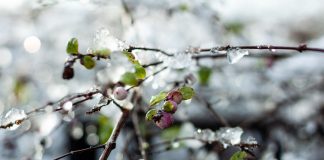 Весна в Украине набирает обороты: где в первую неделю марта потеплеет до +15