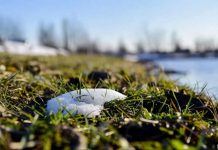 В Украину врывается настоящая весна: температура воздуха удивит в ближайшие дни