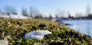 В Украину врывается настоящая весна: температура воздуха удивит в ближайшие дни