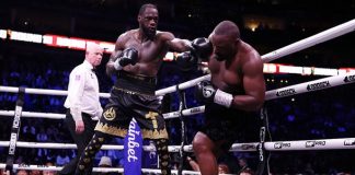 Уайлдер победил Чисору раздельным решением судей