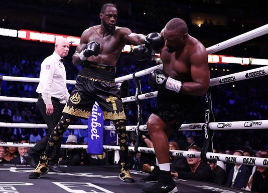 Уайлдер победил Чисору раздельным решением судей