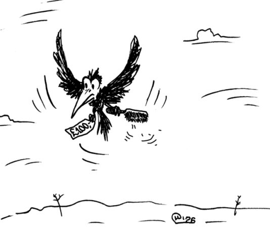 История одной массажной щетки для волос: Жизнь во время санкций